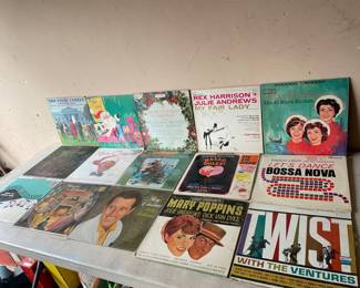 Assorted Vinyl Records - 15 Total