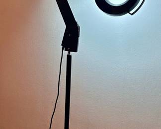 Large Articulating Fluorescent Magnifying Floor Lamp, Black Metal
Lot #: 178