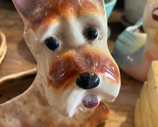 "Please come buy me and stick a cactus in my back"