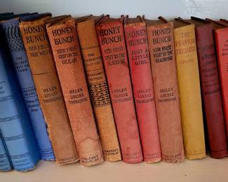 Set of Honey Bunch books