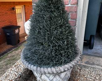 3 Concrete planters w/ evergreens 