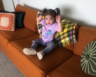 The couch is for sale.  The adorable granddaughter is Priceless!