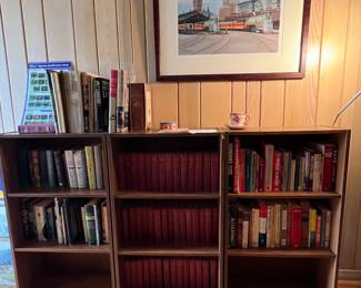 Bookshelves and books