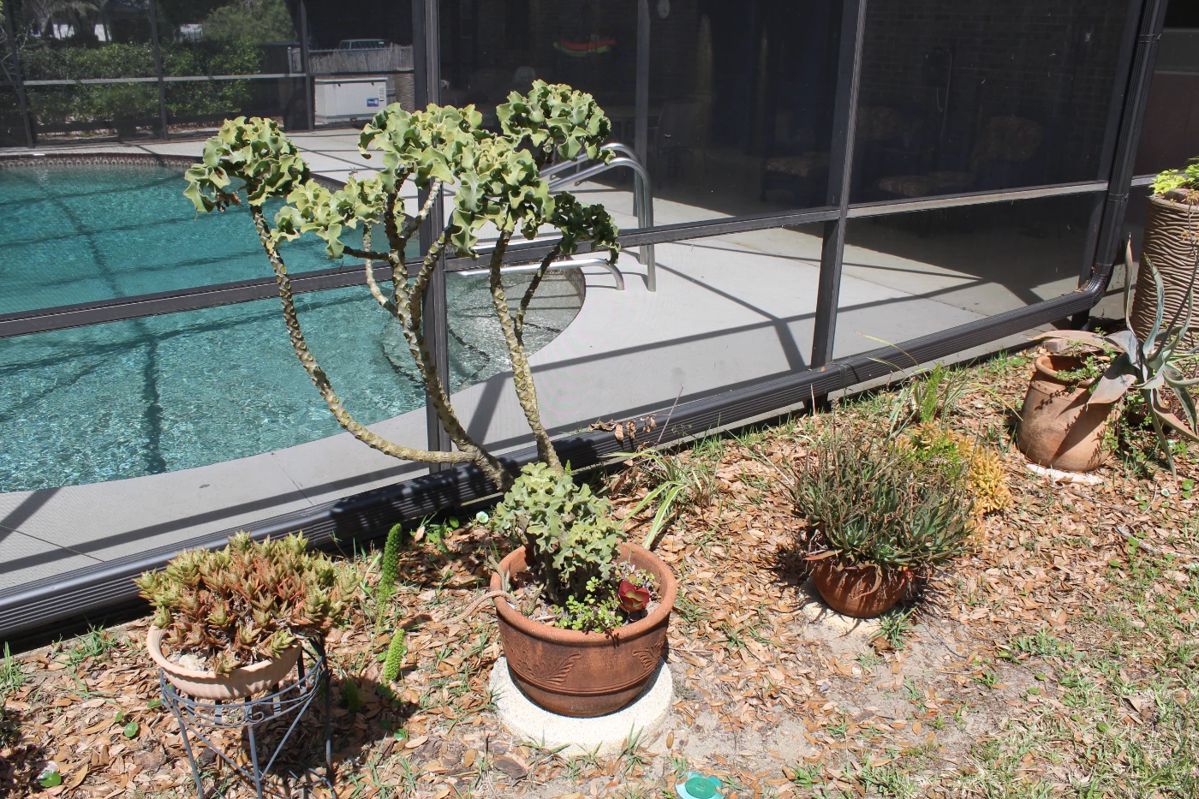 ESTATE SALE High End Items in Rockledge, FL starts on 3/15/2024