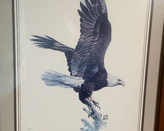 Framed & Matted 1970's Print "American Bald Eagle" by Hugh Hirtle