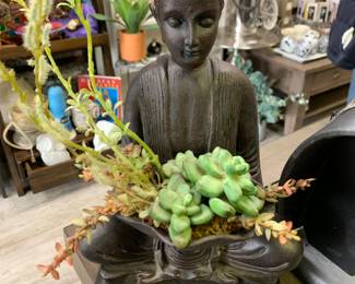 Buddhas 