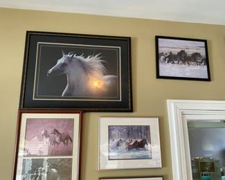 HORSE PICTURES
