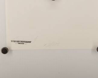 Back of Untitled portrait of a boy with crosses, signed Peter Amft black + white silver gelatin photograph, Peter Amft Photography Chicago, Numbered edition 1/100