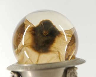 Detail of a preserved bat from the pair of metal pedestals, each with a crystal ball containing a preserved bat
