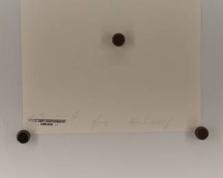 Back of Howlin' Wolf #3, signed Peter Amft black + white silver gelatin photograph, Peter Amft Photography Chicago, Numbered edition 1/100