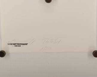 Back of Death Bed, signed Peter Amft black + white silver gelatin photograph, Peter Amft Photography Chicago, Numbered edition 1/100