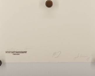 Back of J.B. Lenoir #1, 1964, signed Peter Amft black + white silver gelatin photograph, Peter Amft Photography Chicago, Numbered edition 1/100