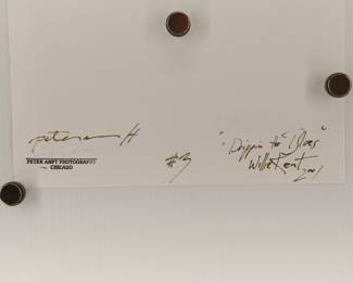 Back of "Dripping the Blues" Willie Kent, 2001, signed Peter Amft black + white silver gelatin photograph, Peter Amft Photography Chicago, Numbered edition 3/100