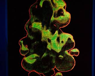 Shown under a blacklight, a different overprint of "She" copyright 1969 by Celestial Arts, CA33, screen-print blacklight poster