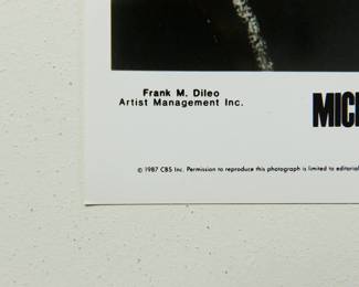 Another detail of Michael Jackson Promo Glossy, part of the huge collection of music promo posters