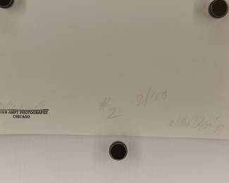 Back of signed Peter Amft black + white silver gelatin photograph, "Willie Dixon '69", Peter Amft Photography Chicago, Numbered edition 2/100