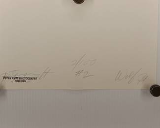 Back of Howlin' Wolf #2, 1971, signed Peter Amft black + white silver gelatin photograph, Peter Amft Photography Chicago, Numbered edition 2/100