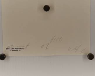 Back of Howlin' Wolf #1, 1971, signed Peter Amft black + white silver gelatin photograph, Peter Amft Photography Chicago, Numbered edition 1/100