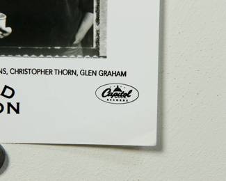 Detail of Blind Melon Promo Glossy, part of the huge collection of music promo posters