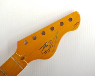 Detail of one of the collection of sixteen Tagliare "Private Label" electric guitar necks