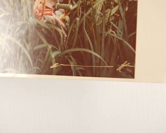 Signature detail of Signed Peter Amft c-print photograph, Peter Amft Photography Chicago