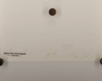 Back of Hand of Bloomfield Blues, 1968, signed Peter Amft black + white silver gelatin photograph, Peter Amft Photography Chicago, Numbered edition 3/100