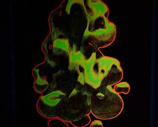 Shown under a blacklight, "She" copyright 1969 by Celestial Arts, CA33, screen-print blacklight poster