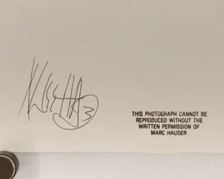 Signature on the back of a print, Marc Hauser Photography, 30 Photographs Box Collection, 1993, limited edition 23/100, each silver gelatin black + white photograph is embossed