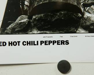 Another detail of the second Red Hot Chili Peppers Promo Glossy, part of the huge collection of music promo posters