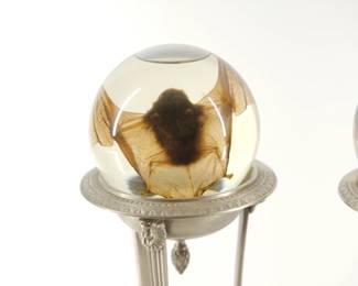 Back view of left preserved bat in the pair of metal pedestals, each with a crystal ball containing a preserved bat