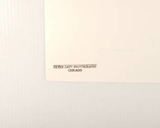 Stamp on the back of Untitled guitarist onstage, signed Peter Amft c-print photograph, Peter Amft Photography Chicago, Numbered edition 2/50