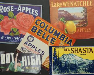 Refrigerator magnets