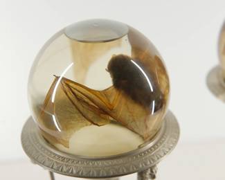 Top view of a preserved bat in the pair of metal pedestals, each with a crystal ball containing a preserved bat