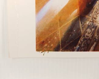 Edition detail of Advertisement, double dye transfer one-of-a-kind print, signed Peter Amft c-print photograph, Peter Amft Photography Chicago, Numbered 1/1