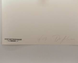 Back of Doctor John, NYC, 1990 #2, signed Peter Amft black + white silver gelatin photograph, Peter Amft Photography Chicago, Numbered edition 2/100