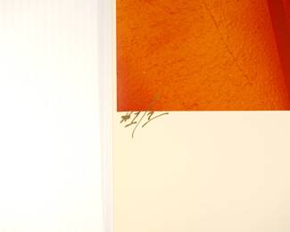 Edition detail of Untitled man eating cake, signed Peter Amft c-print photograph, Peter Amft Photography Chicago, Numbered edition 1/1