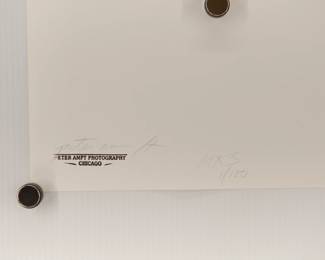 Back of MKS signed Peter Amft black + white silver gelatin photograph, Peter Amft Photography Chicago, Numbered edition 1/100