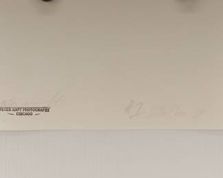 Back of signed Peter Amft black + white silver gelatin photograph, "Willie Dixon", Peter Amft Photography Chicago, Numbered edition #1