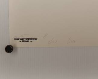 Back of Lisa signed Peter Amft black + white silver gelatin photograph, Peter Amft Photography Chicago, Numbered edition 4/100