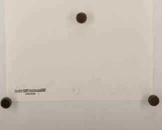Back of Chuck Berry #1, 1969, signed Peter Amft black + white silver gelatin photograph, Peter Amft Photography Chicago, Numbered edition 1/100