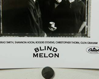 Another detail of Blind Melon Promo Glossy, part of the huge collection of music promo posters