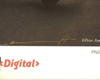 Signature detail of Signed Peter Amft digital black+white photograph, Peter Amft Photography Chicago, printed by Bergger Digital PN33