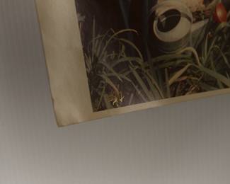 Edition detail of Signed Peter Amft c-print photograph, Peter Amft Photography Chicago