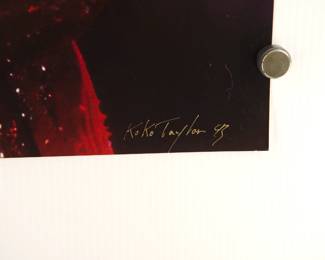 Title detail of Koko Taylor, 1993, Signed Peter Amft c-print photograph, Numbered edition 1/1