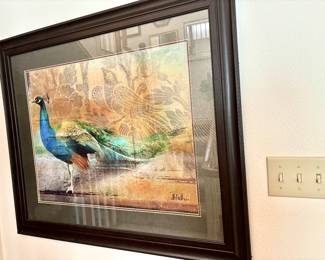 Large peacock picture