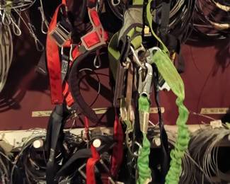 Fall Harnesses