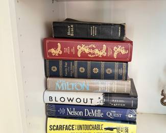 War and Peace by Leo Tolstoy, Vanity Fair by William Makepeace Thackeray, Nelson DeMille and Other Books.