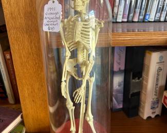 Vintage 1991 Articulated Human Skeleton
