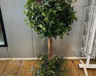 Several nice Ivy topiaries