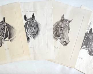 Affirmed, and other horse sketches